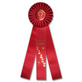 16" Stock Rosettes/Trophy Cup On Medallion - 2ND PLACE